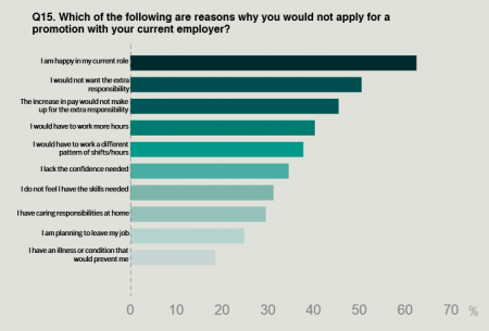 Q15reasonsnottoapply