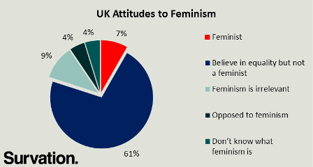 feminism pie